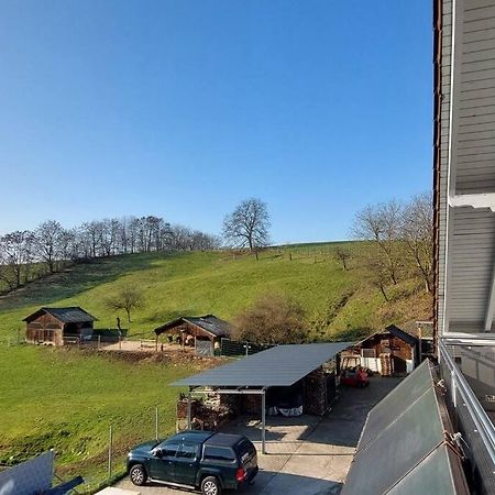Grosse Tolle 4 Zimmer Ferienwohnung Im Herzen Des Odenwaldes Moerlenbach ภายนอก รูปภาพ