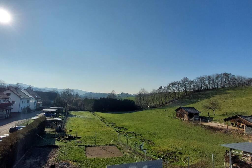 Grosse Tolle 4 Zimmer Ferienwohnung Im Herzen Des Odenwaldes Moerlenbach ภายนอก รูปภาพ