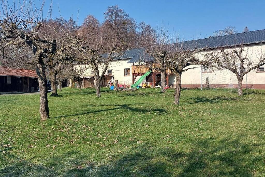 Grosse Tolle 4 Zimmer Ferienwohnung Im Herzen Des Odenwaldes Moerlenbach ภายนอก รูปภาพ