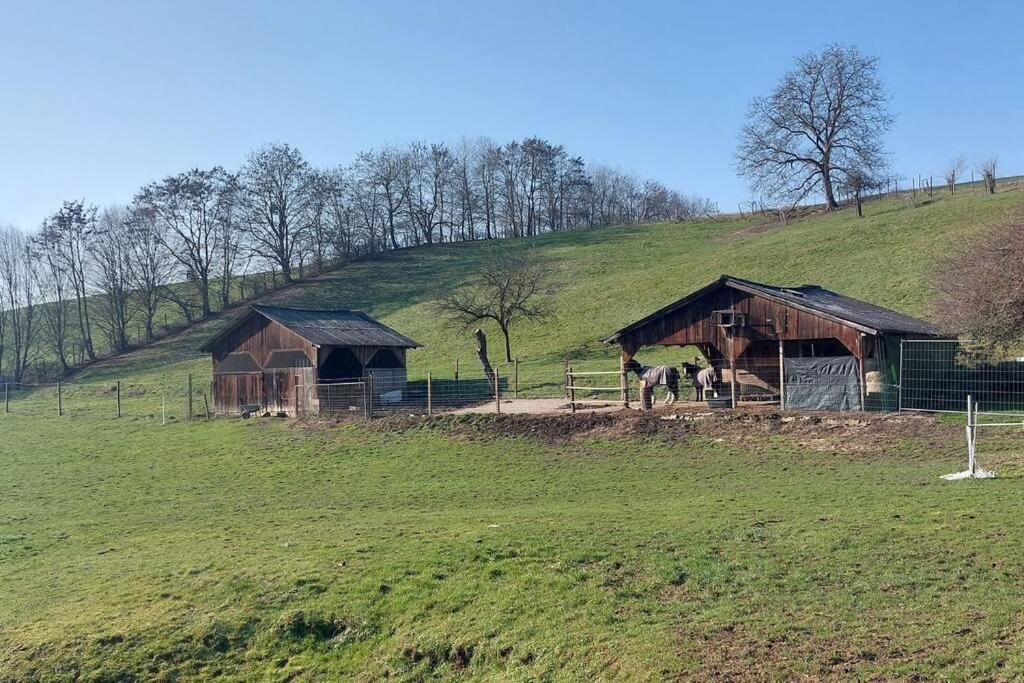 Grosse Tolle 4 Zimmer Ferienwohnung Im Herzen Des Odenwaldes Moerlenbach ภายนอก รูปภาพ