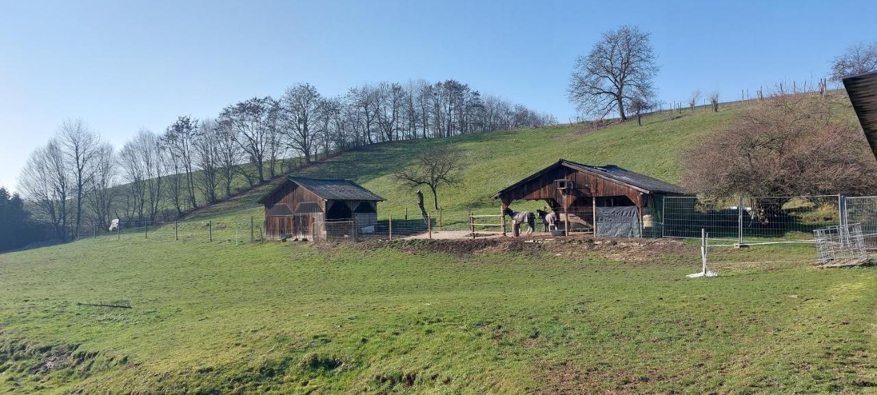 Grosse Tolle 4 Zimmer Ferienwohnung Im Herzen Des Odenwaldes Moerlenbach ภายนอก รูปภาพ